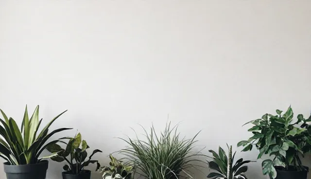 地区使用与维护中团队协作的常见问题及应对策略